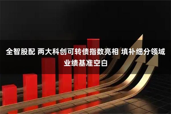 全智股配 两大科创可转债指数亮相 填补细分领域业绩基准空白