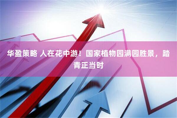 华盈策略 人在花中游！国家植物园满园胜景，踏青正当时