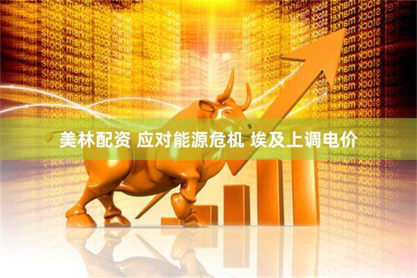 美林配资 应对能源危机 埃及上调电价